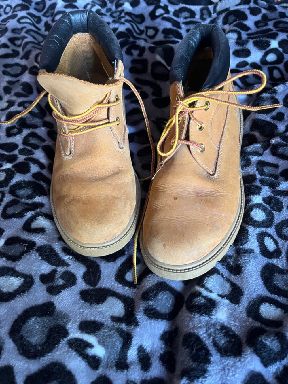Boys Timberland Wheat Nubuck Boots with Black Collar - Picture 3 of 6
